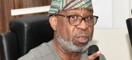 UNGA 2023 :  Nigeria’s minerals deposit is worth $700billion,”We are ready to play an important role,” Says Alake
